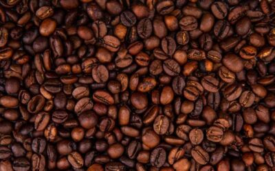 Café en los niños: científicos afirman que no influye en el crecimiento