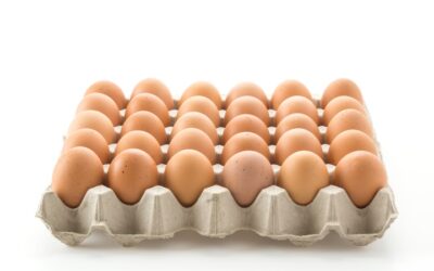 Consumir huevos crudos puede traer infecciones