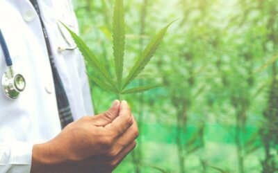 El cannabis no solo se limita a los usos medicinales, también llegó a la industria textil