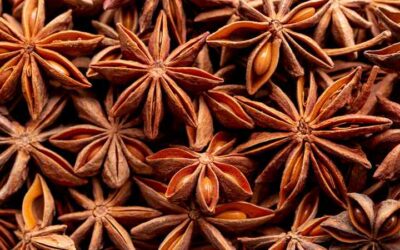Anís estrellado: Beneficios para la salud y precauciones