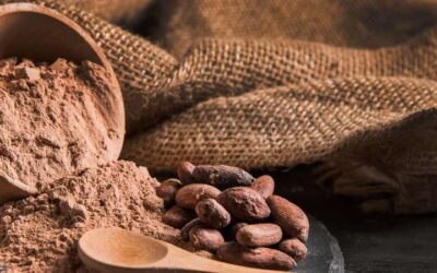 El cacao se fábrica con ¿mano de obra infantil?