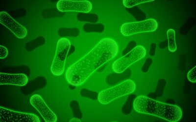 «Helicobacter pylori puede comenzar como gastritis y terminar en cáncer»