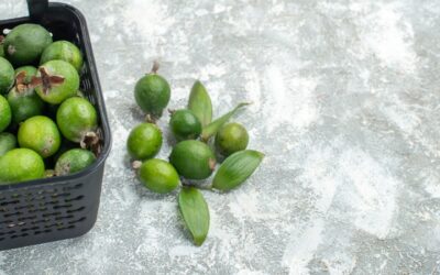 Aguacate y sus múltiples beneficios en el cuerpo humano