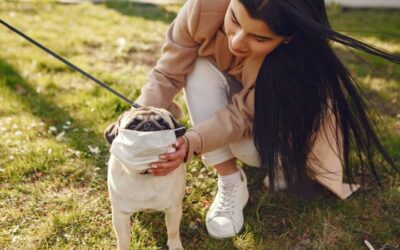 ¿Vacuna anti-coronavirus en animales?