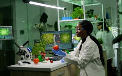 Frutas y sobreprecio: cómo comer sano sin dejar una fortuna