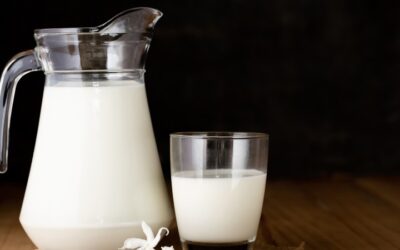 Leche de vaca: repleta de mitos pero con bastantes nutrientes