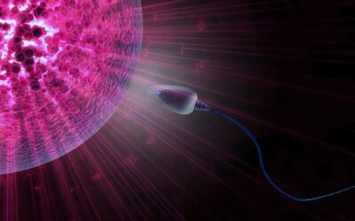 Ovodonación, Epigenética y Fertilización in Vitro
