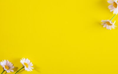 Manzanilla: conoce cuáles son sus beneficios para la salud