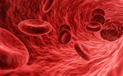 Anemia en los niños | ¿Cómo reconocerla?