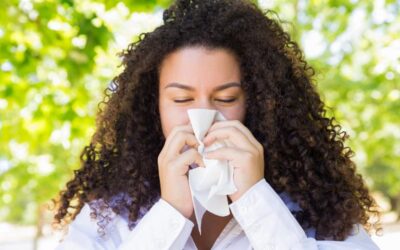 Gripe Aviar h3n8: dispara las alarmas de las autoridades sanitarias