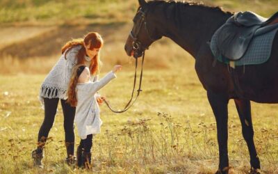 Terapia con animales y sus beneficios