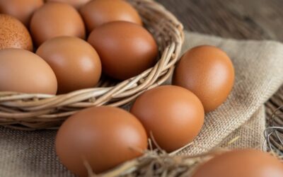 Beneficios de belleza para la piel y el cabello que nos brindan los huevos
