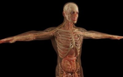 Osteomielitis: una infección en los huesos