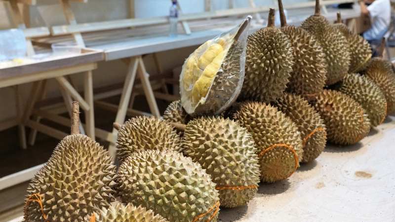 durian fruta