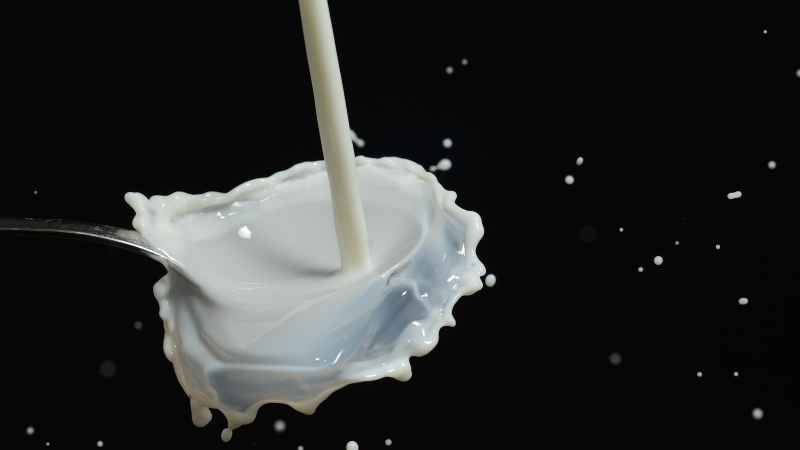 proteína de la leche y el covid