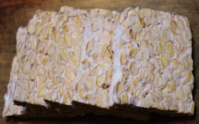 Tempeh: ¿Qué es y cómo cocinarlo?