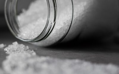 Alimentos saludables ricos en Yodo