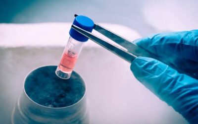 Congelar óvulos y embriones: fertilidad para pacientes oncológicos