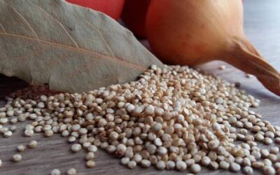 Quinoa: beneficios que desconocías hasta hoy