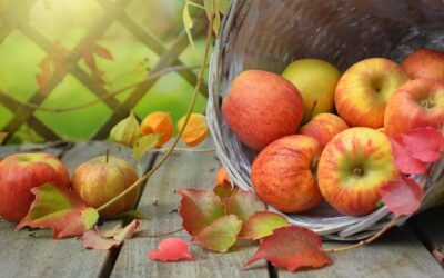 Dieta de la manzana: beneficio a su salud