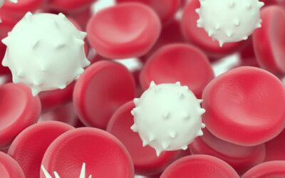 Qué son los leucocitos y qué niveles son buenos indicadores de salud