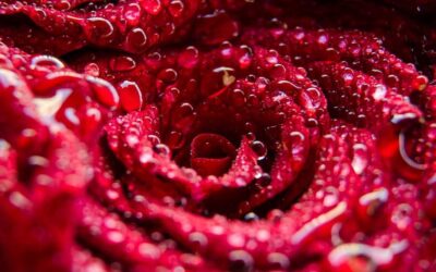 Menstruación: conoce por qué puede ser abundante y prolongada