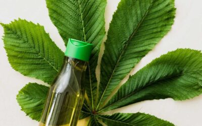 Omega 3: ¿en qué alimentos puedes conseguirlo?