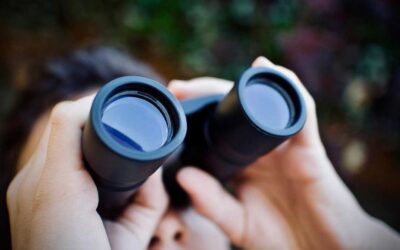 Eclipse solar y seguridad ocular | Consejos y recomendaciones