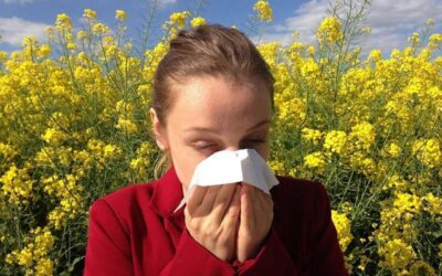 Alergia estacional… Fiebre del heno