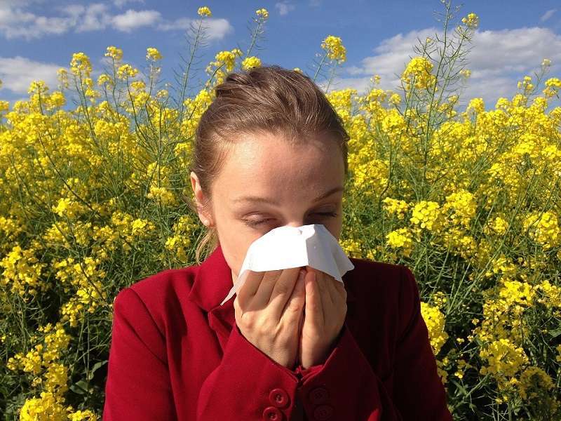 Alergia estacional… Fiebre del heno