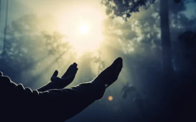 Prosperidad | Desarrollar una actitud de gratitud, te empodera