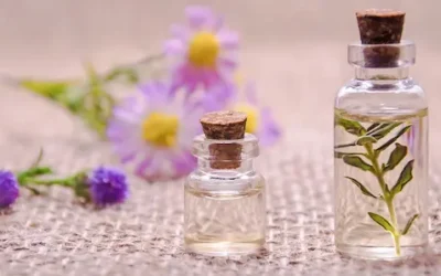 Aceites esenciales para hidratar la piel