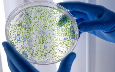 «Píldora viva»: tratamiento para resistentes infecciones pulmonares
