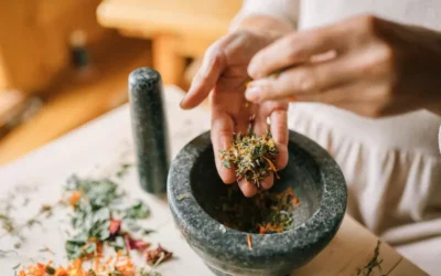 Plantas medicinales: sus usos y dosis