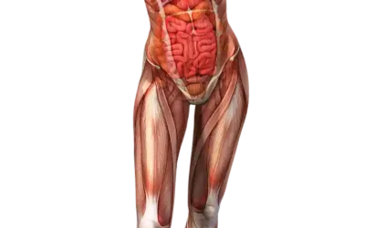 Sarcoma de tejidos blandos ¿qué es y cuál es su incidencia?