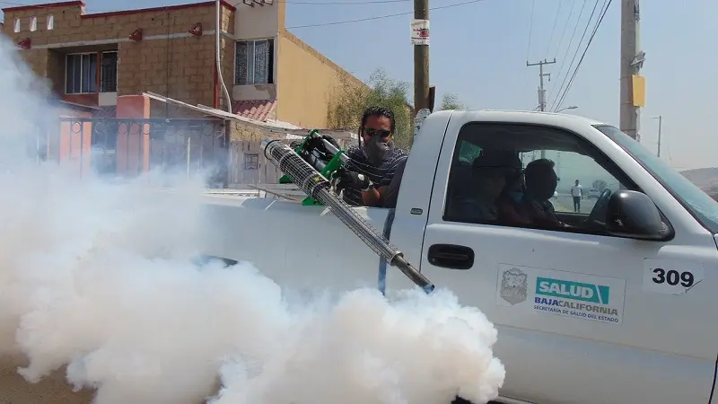 Hablemos de dengue