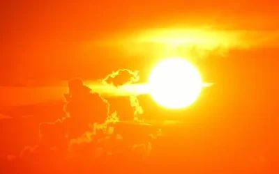 Alergias en épocas de calor | ¿Por qué aumentan?