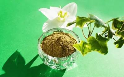Henna: alternativa natural y saludable para cubrir las canas y cuidar tu cabello