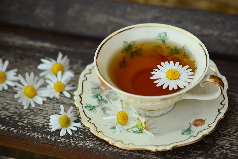 ¿Disminuir la ansiedad? Conoce las infusiones que pueden ayudar