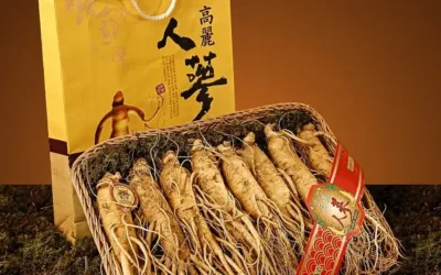 Ginseng: la planta milagrosa «entregada por Dios a los humanos»