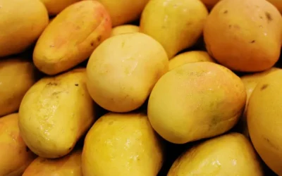 Mango: conoce los beneficios de esta deliciosa fruta tropical