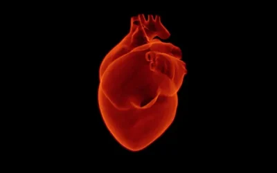 ¿Qué es el trombolismo pulmonar?