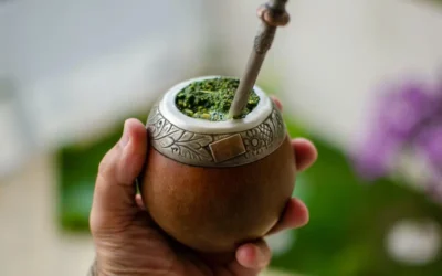 Yerba Mate: conoce sus propiedades y extraordinarios beneficios