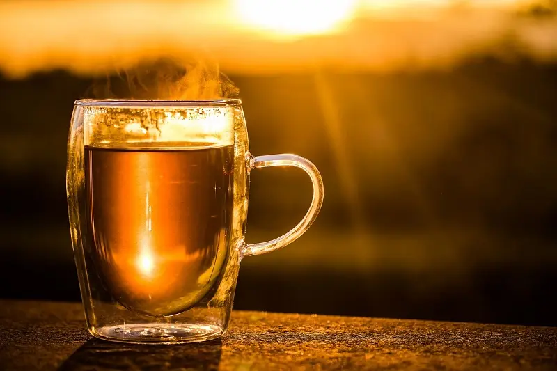té de hueso de aguacate