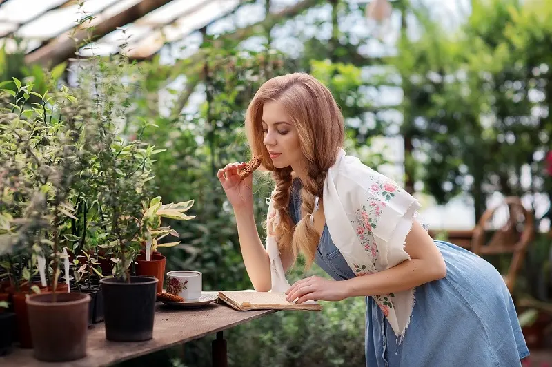 Jardinería y agricultura