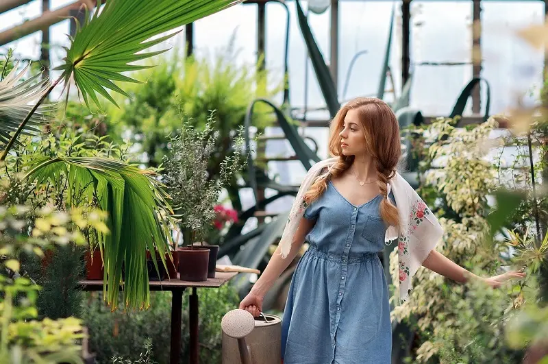 Jardinería y agricultura