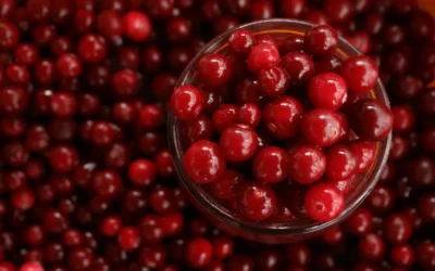 Los arándanos rojos | pequeñas joyas para tu salud