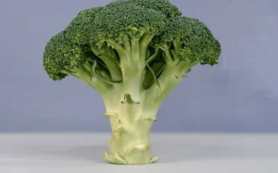 Un compuesto del brócoli podría prevenir los ACV