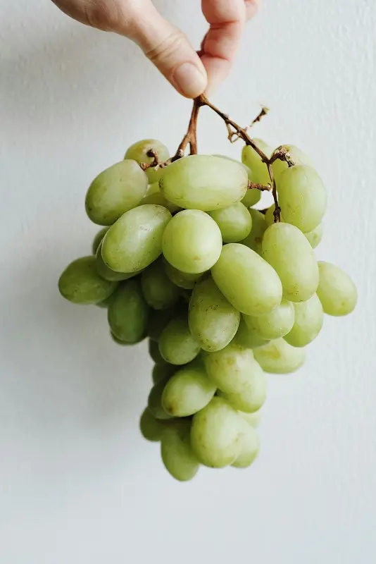 Comer uvas