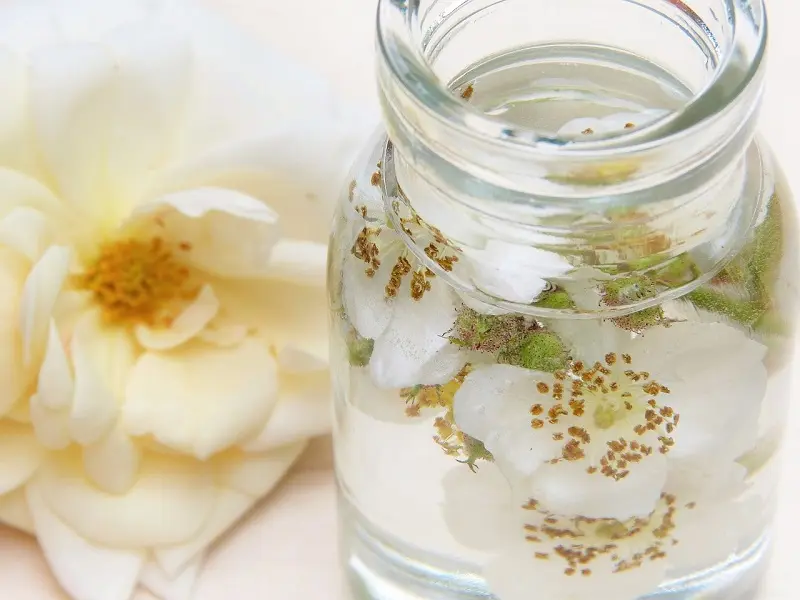 El Aceite de Rosa Mosqueta… ¿Cómo puedes usarlo en tus rutinas de belleza?